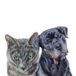 2 huisdieren